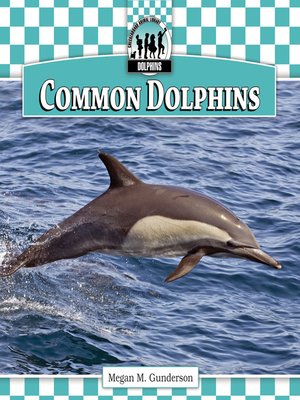 cover image of Common Dolphins